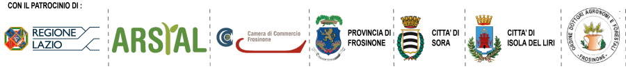 LOGO PATROCINI-01 LOGO PATROCINI-01